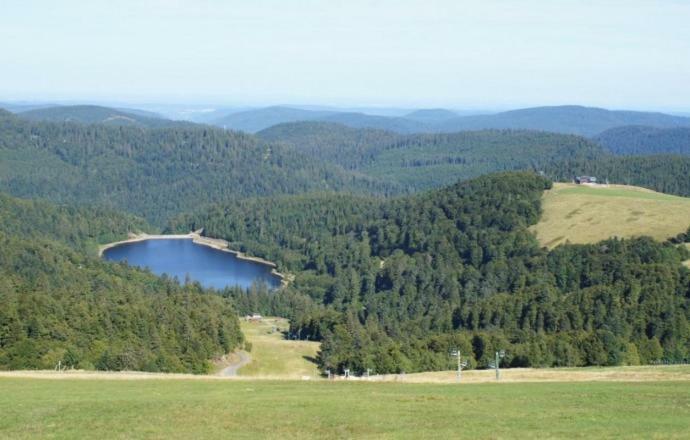 Au Pied Du Markstein Oderen Dış mekan fotoğraf